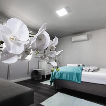 Sunny Garden Apartment Богач Экстерьер фото